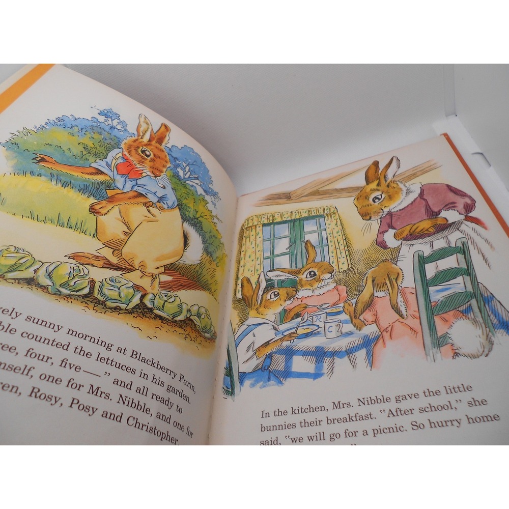 A Bunny in Trouble Jane Pilgrim Blackberry Farm Book 1973 Vintage Potato Press - Picture 3 of 6
